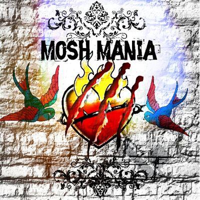 mosh_mania's profile picture. here to promote the best of the bands |follow for follow| fan fics and one shots upon request| |promote|