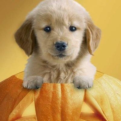 vinh196's profile picture. 