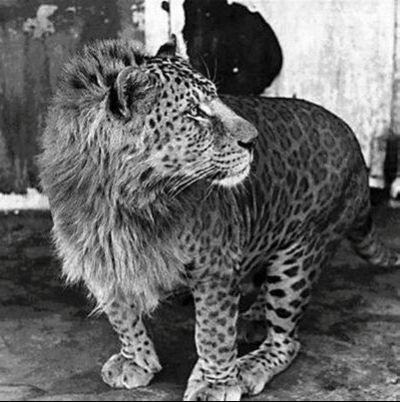 DimphoMalema's profile picture. The LORD_♡.