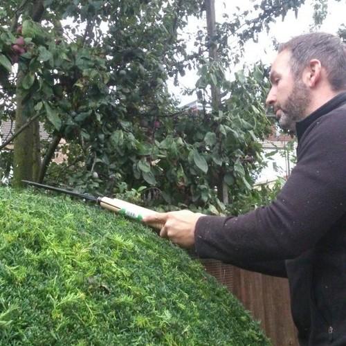 Gardener/Grass roots football coach(Level 2 & Youth mod 1&2) & rare example of somebody who loves what he does,  and long suffering spurs fanatic