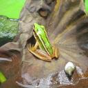 Glenn Dawson - @dxb_glenn - Twitter