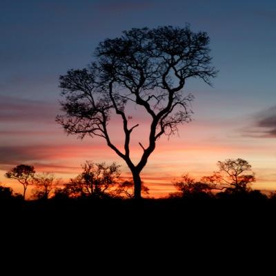 Br1teSpark's profile picture. Amateur birdwatcher - doing it for the fun in Sussex. Plus music & surf