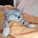 Talia Jimenez Mejia - @MejiaTalia - Twitter