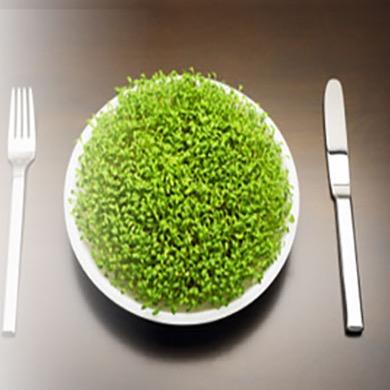 ThisHealth's profile picture. This Health brings you the very best of nutritional health foods, supplements and well-being from around the world.
https://t.co/bMkuNGyGP0