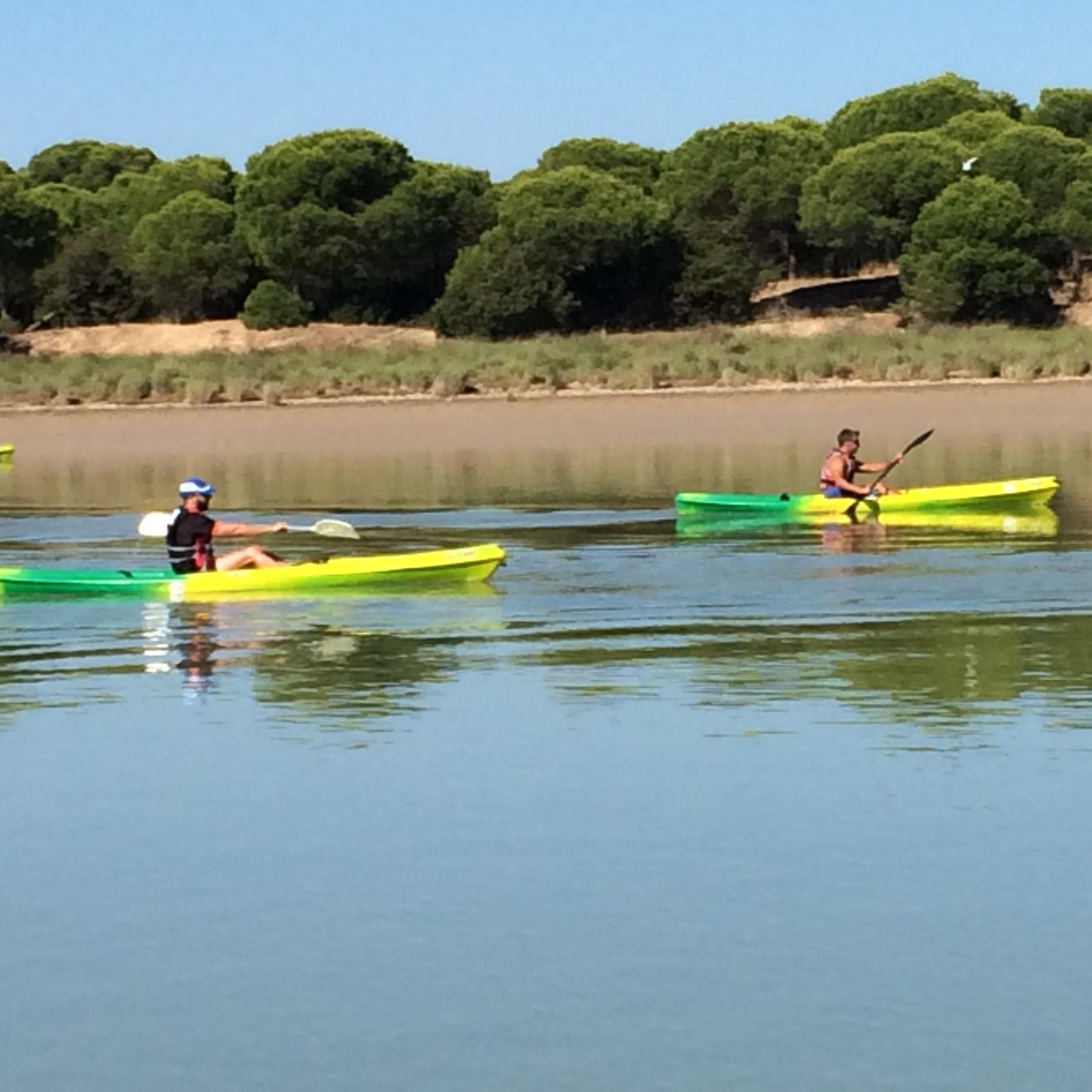 Empresa #turismo #activo Ofertamos ocio para escuelas, empresas, grupos privados...En verano, escuela nautica Bora Bora #Sanlucar #Doñana kayaks, wind, vela...