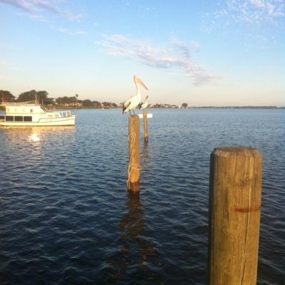 johnirving31's profile image