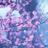 KirasMevsimi's profile image
