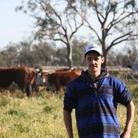 Tobias linnane (@tobylinnane) 's Twitter Profile