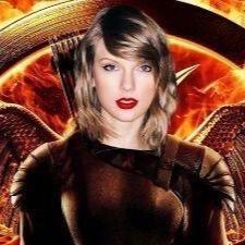 if we burn you burn with us// go watch mocking jay for a free cookie (:// may the odds be ever in your favor!