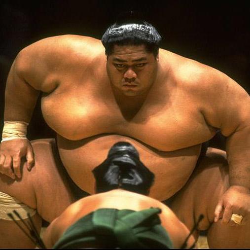 Tori Sumo Sumo fun pictures #sumo #fun