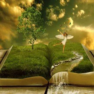 dana_frizzle's profile picture. 