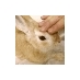 Giuseppe Tortorello (@giusetortorello) Twitter profile photo