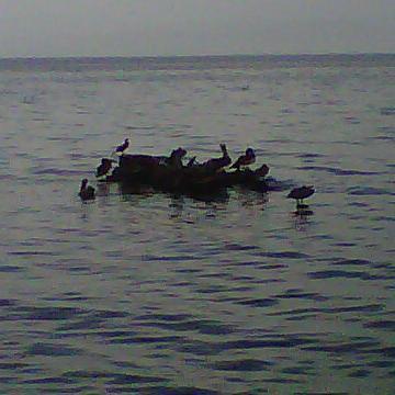 kevindun2012's profile picture. 