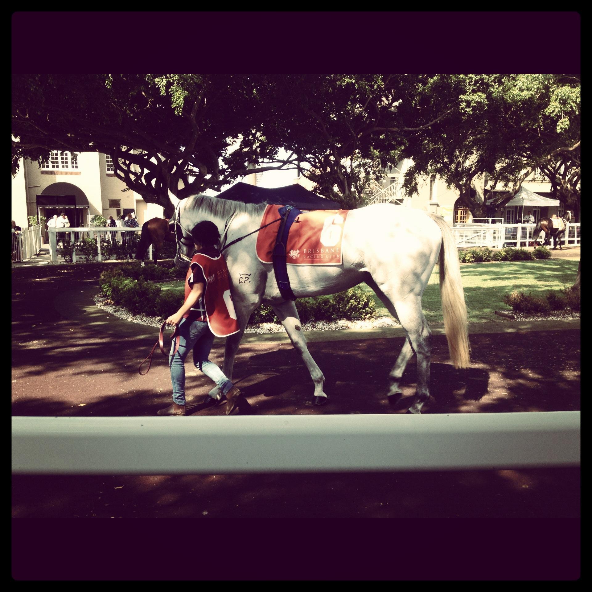 Father, son & best friend combo who are keen on the punt. Based out of brissy!