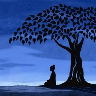 cecilomu's profile picture. Psicologa, consultora de RRHH y  promotora del binestar de las personas