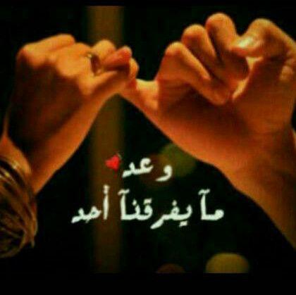 alkjhgfds82's profile picture. 