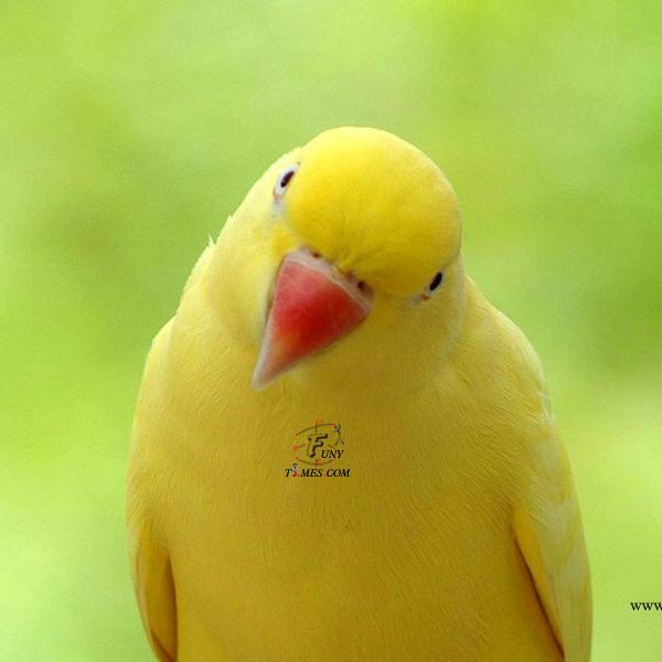 RajkannaDp's profile picture. 