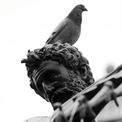 DobrawaL's profile picture. 