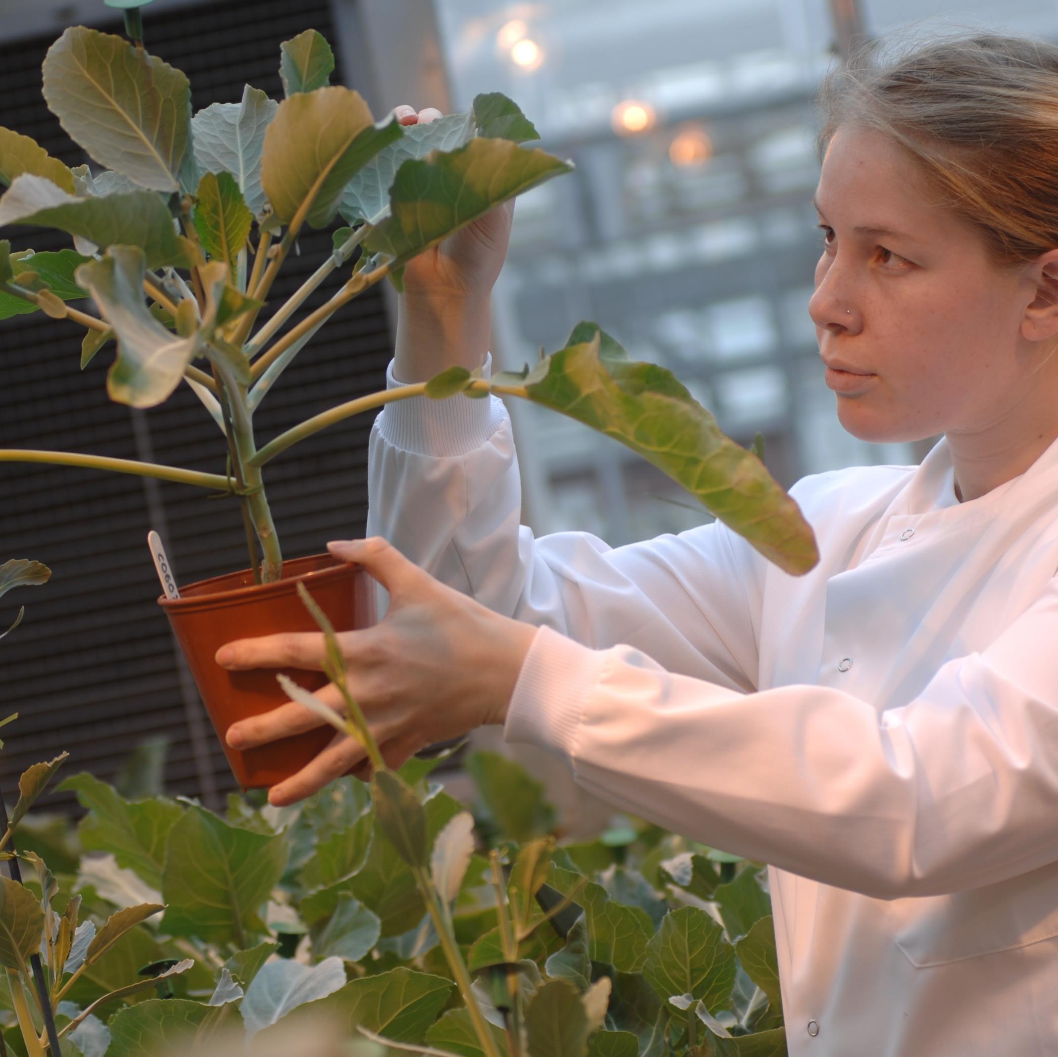 Warwick MSc AgriFood