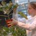 Warwick MSc AgriFood (@mscagrifood) Twitter profile photo