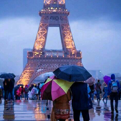 18115852dd624f0's profile picture. 