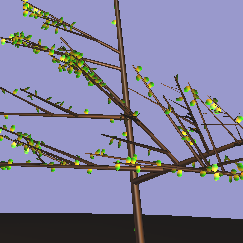 l1234_xa's profile picture. 