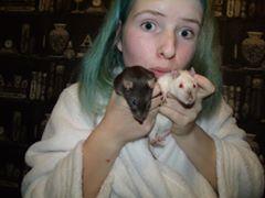 i have snapchat and instrgram and tumblr  as sharethemouse. i have youtube as Rhiannon Parsons Bailey. i am a crazy girl have fun following if you do. ≧﹏≦
