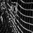 Wheelhouse_Pod's profile image