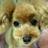moco070119's profile image