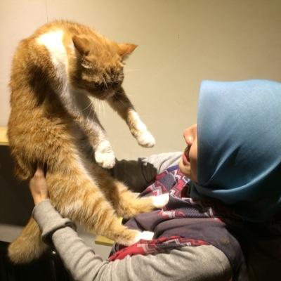 🐈