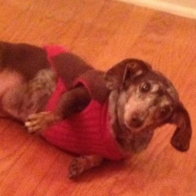 jimmani69d98's profile picture. 