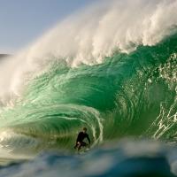 Tom Lowe (@robertoloweyo) 's Twitter Profile