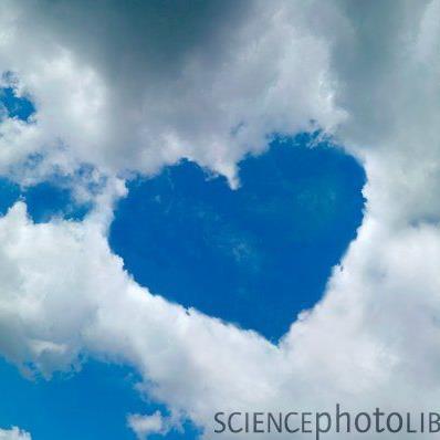 7VillageMatchmk's profile picture. 