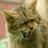 bukyrisna1974's profile image