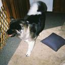 Maya Powers - @Zyno_via - Twitter