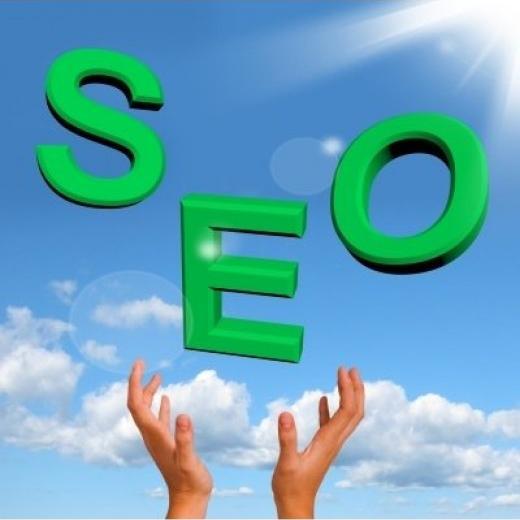 We are a leading search engine optimization and digital marketing team with credibility and experience in online internet marketing and website management.