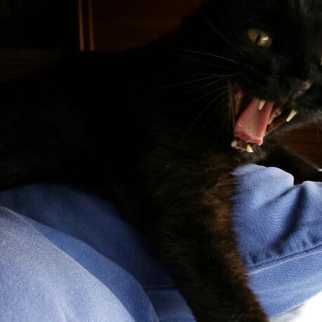 No me pises que voy descalza.