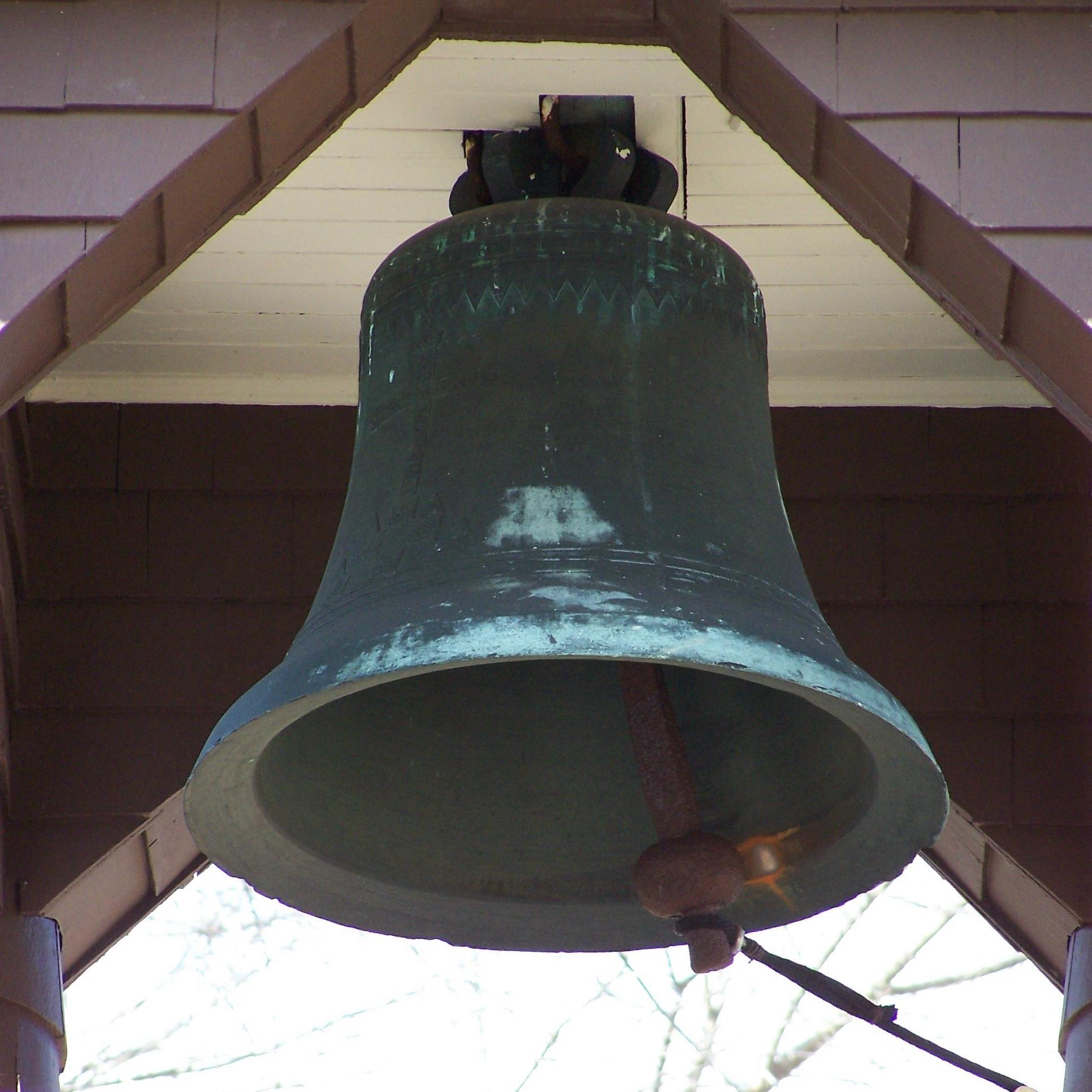 saintsteves's profile picture. Come and be fed