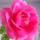 ankur (@1975Ankur) Twitter