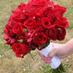 عاشق (@f5374bf29ab0435) Twitter profile photo عاشق (@f5374bf29ab0435) Twitter profile photo