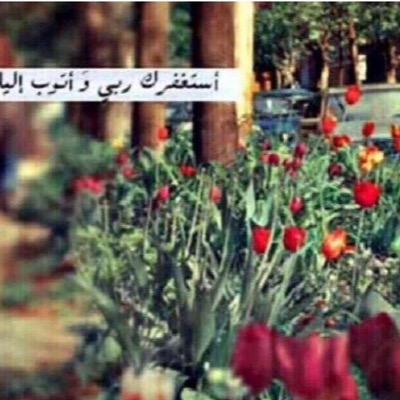 GAFAR91914677's profile picture. 
