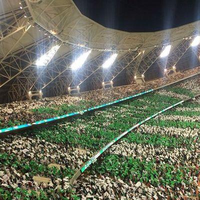 ‏‏‏انشاء الله اي خبر أهلاوي انزله للاهلي سيكون هناك تفاعلات مع كل شئ يخص النادي ابي تفاعلات    اللي حاب يدخل القناة هية خاصة بالاهلاوية:  C0030E9A8