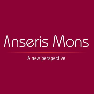 Anseris Mons Ltd is here to help you with your business challenges and put you on the correct trajectory.