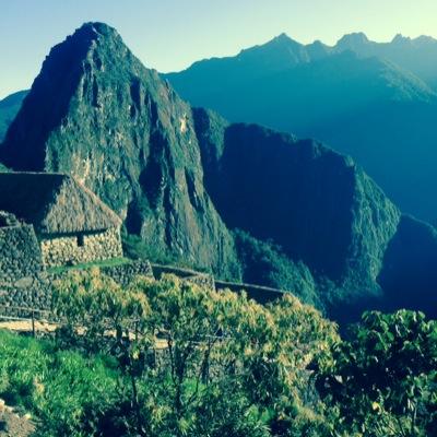 Tgro309's profile picture. 