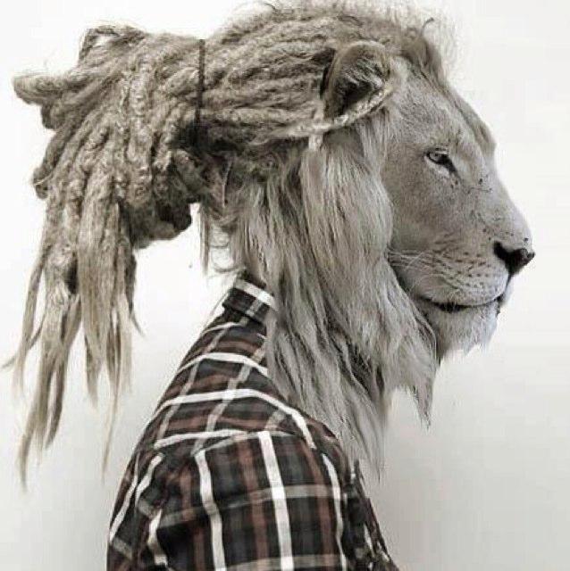 rastamudrolije's profile picture. 