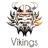 vikingscon's profile image