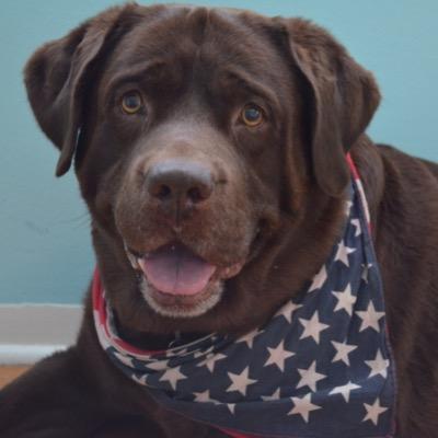 RangerLab's profile picture. 