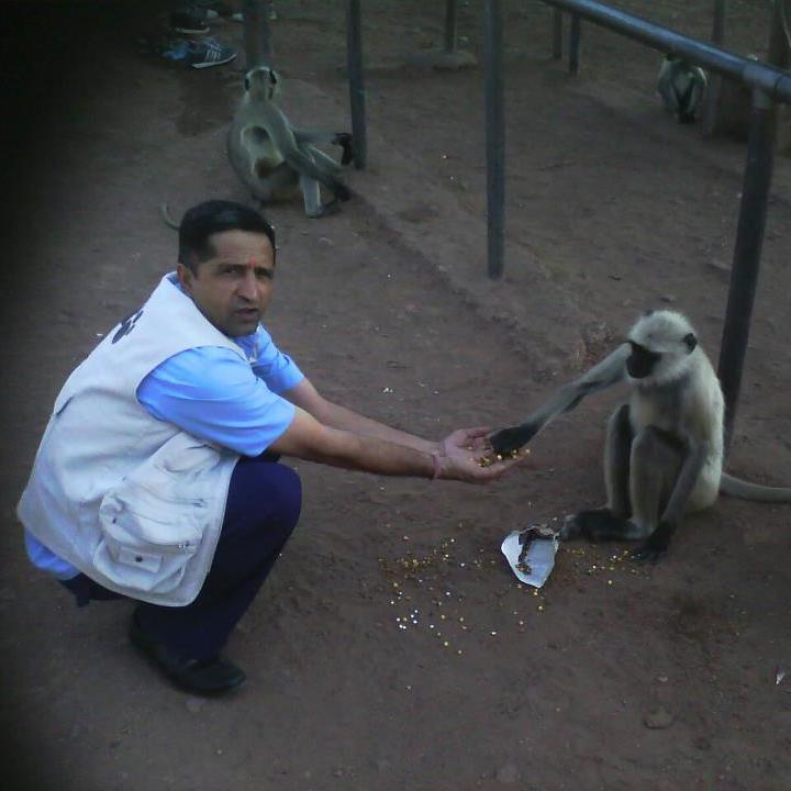 dpannu1203's profile picture. 