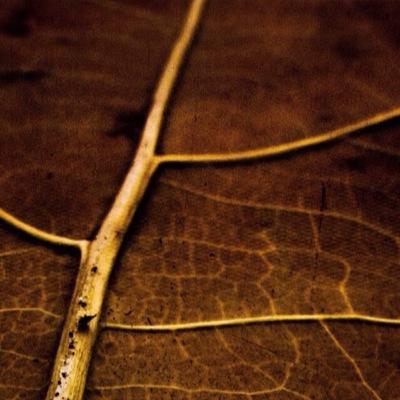 Hotshop1234's profile picture. 