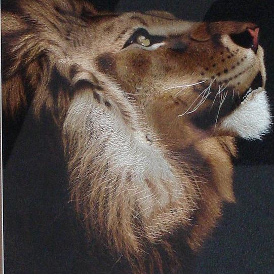 FeaRLeSS_CLuB's profile picture. Club de los e-sports. Sponsored By: